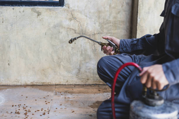 Best Mosquito Control Services  in Mayfield, KY
